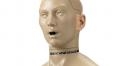 Head & Torso simulators